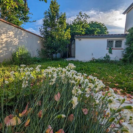 La Maison Calme Et Lumineuse Avec Jardin Toulouse Ngoại thất bức ảnh