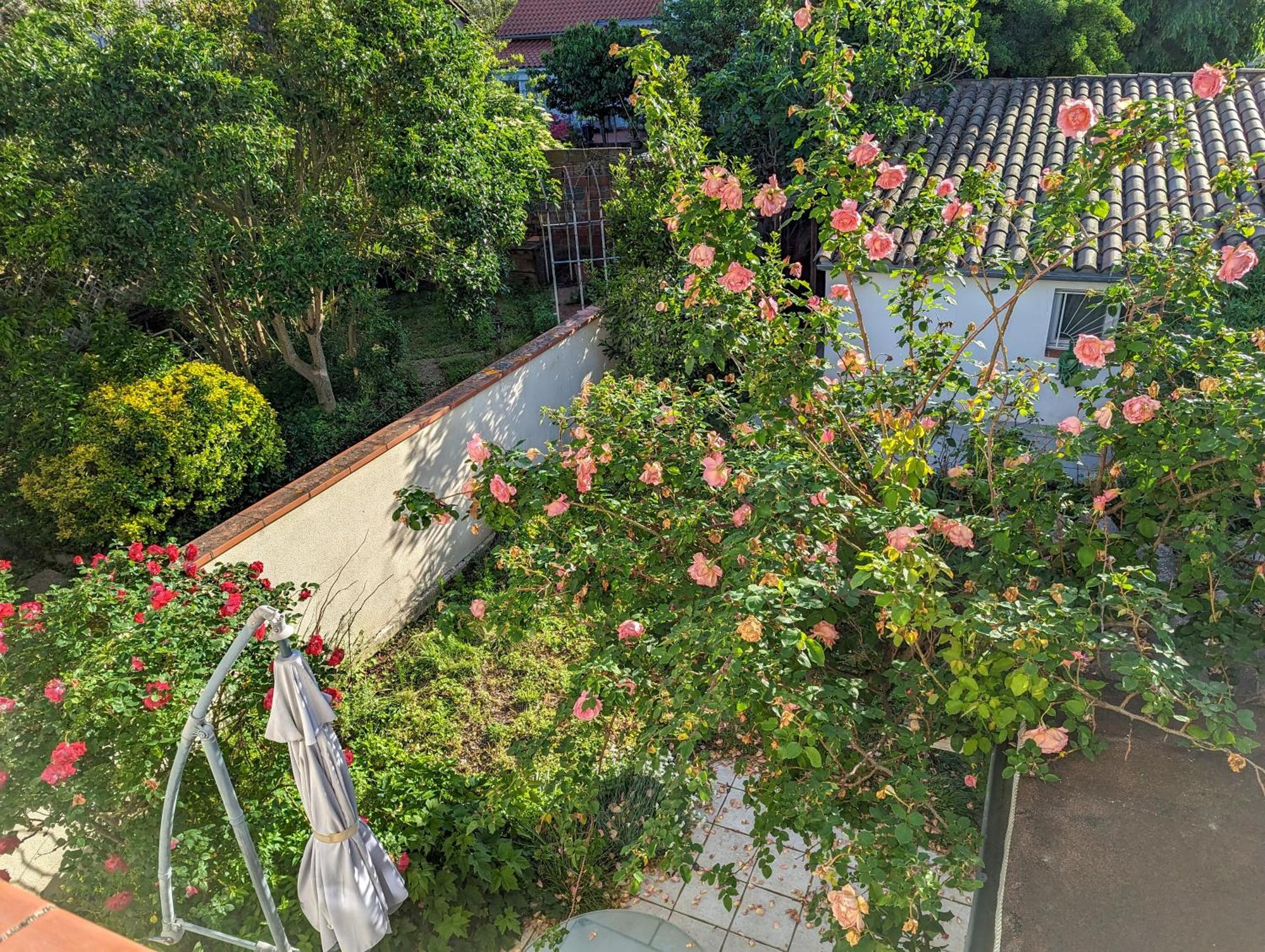 La Maison Calme Et Lumineuse Avec Jardin Toulouse Ngoại thất bức ảnh